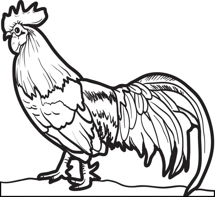 700x643 Rooster Coloring Pages