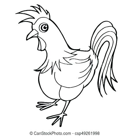 450x470 Rooster Coloring Pages Free Rooster Coloring Pages Photograph