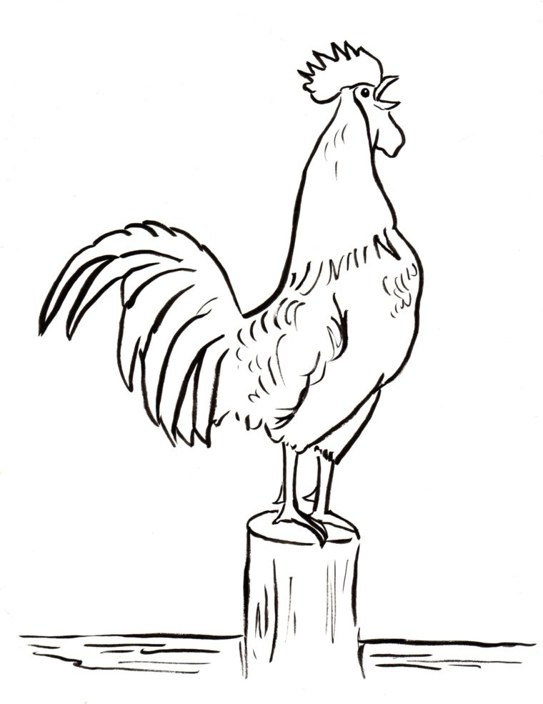 760x985 Free Rooster Coloring Pages Rooster Coloring Page Download
