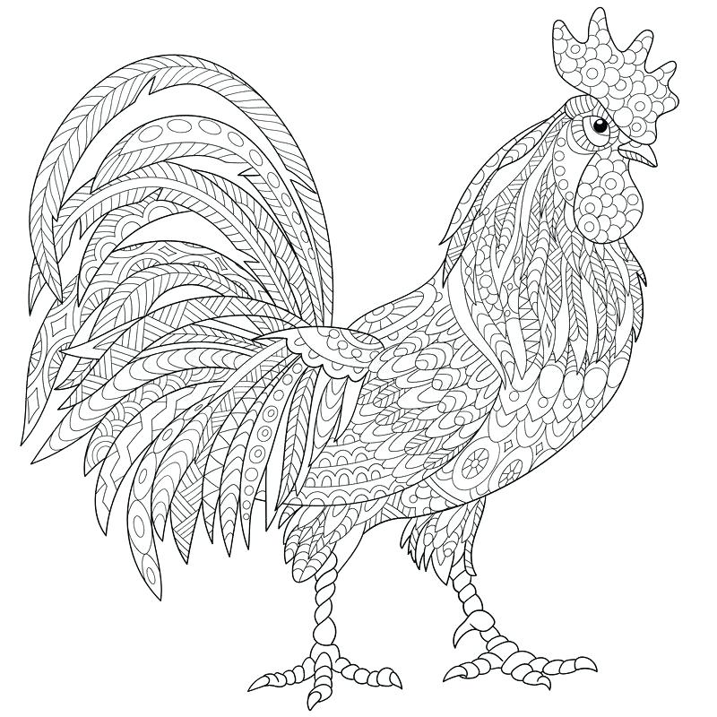 800x800 Chinese New Year Year Of The Rooster Coloring Page Vector Cock