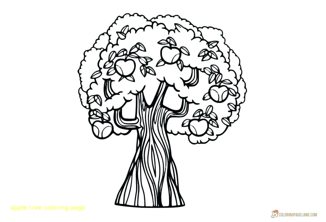 1043x709 Coloring Page Tree Fall Trees Coloring Pages Lds Tree Of Life