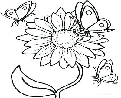 400x322 Realistic Flower Coloring Pages Page Image Images Coloring Trend