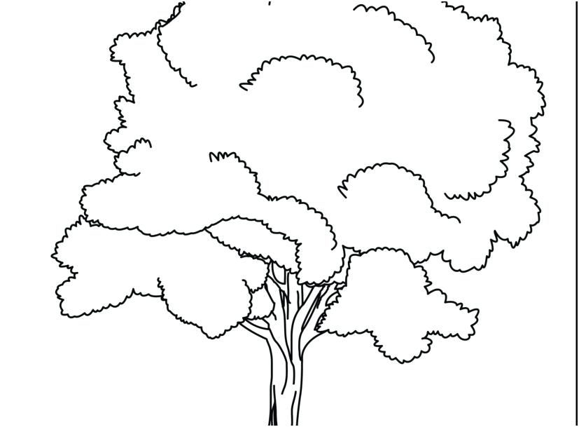 827x609 Tree Coloring Pages Remarkable Tree Leaves Coloring Pages