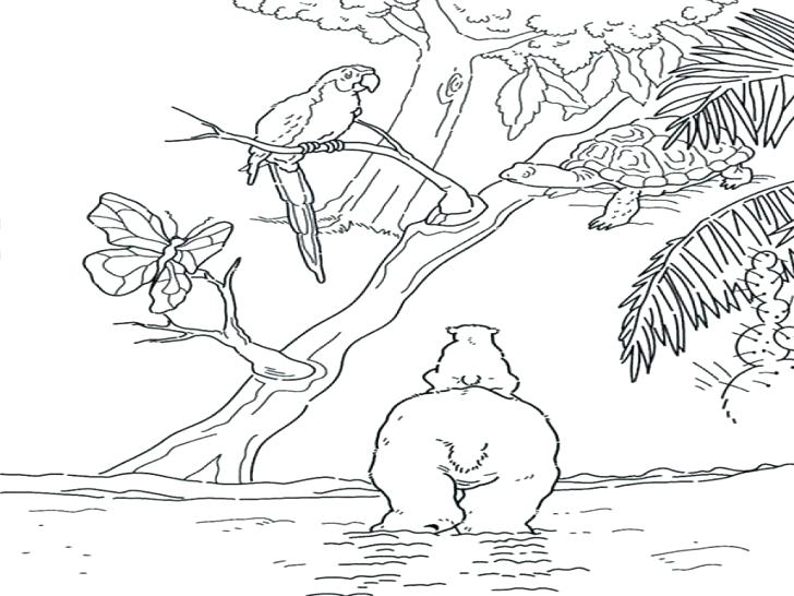 728x546 Tree Coloring Pages With Roots Oak Tree In The Night Coloring Page