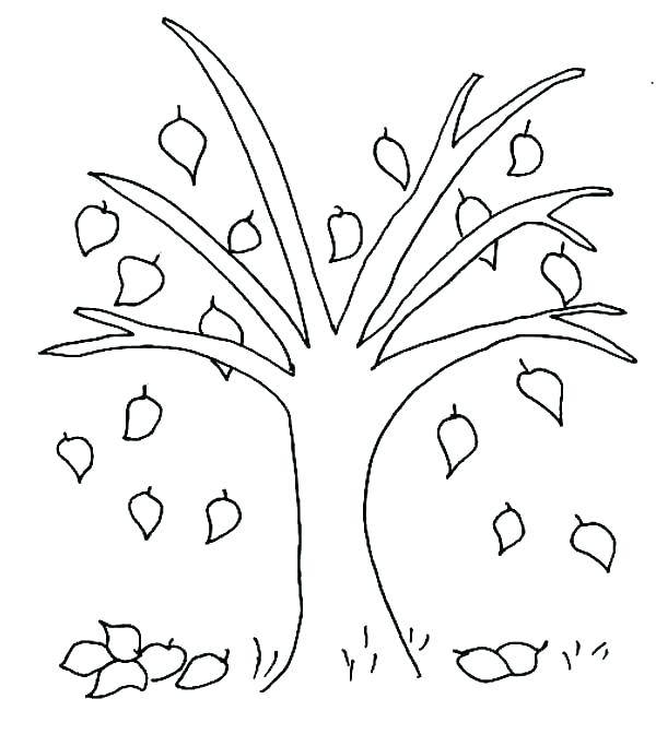 600x683 Tree Coloring Pages With Roots