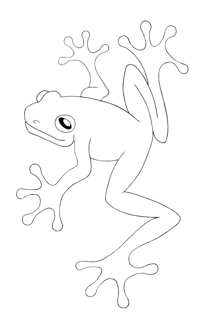 695x1024 Coloring Page Tree Coloring Page Tree Frog Coloring Pages Coloring