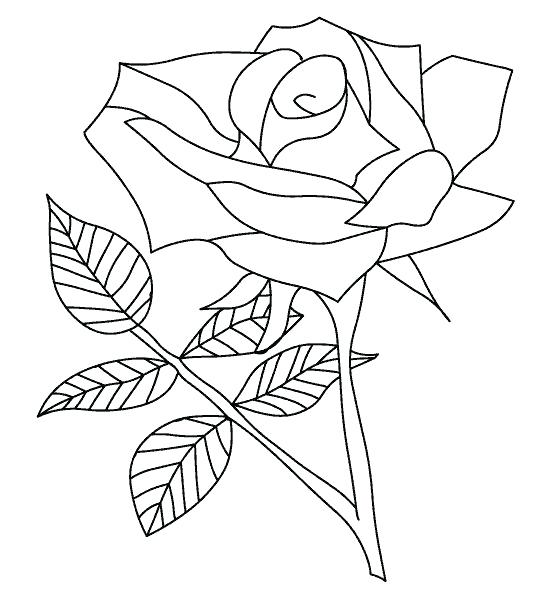 550x600 Printable Rose Coloring Pages Rose Coloring Sheets Printable