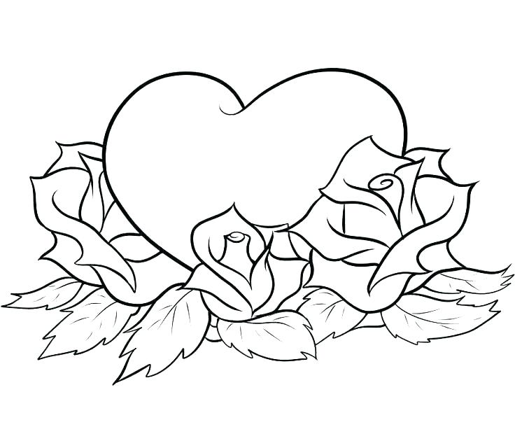 736x620 Rose Color Pages Good Roses Coloring Pages New Free Of Printable