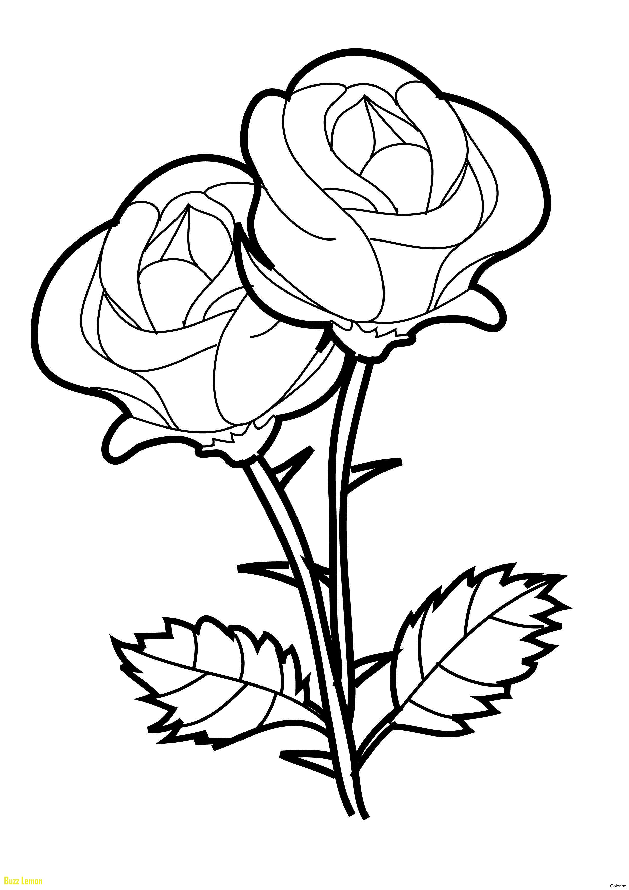 2480x3508 Rose Colored Sheets Unique Rose Coloring Pages For Kids Roses