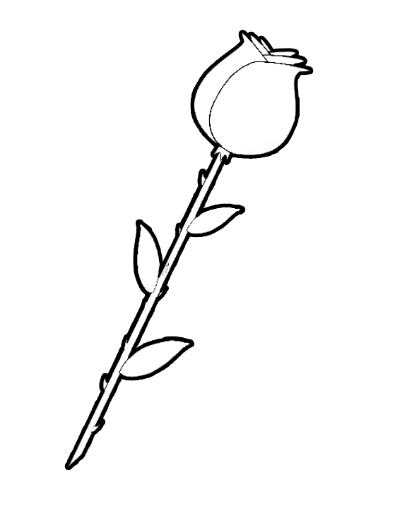 576x720 Coloring Rose Coloring Pages Easy In Conjunction With Rose Art