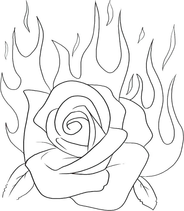 618x709 Rose Flower Coloring Pages Rose Bouquet Coloring Page Download