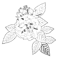 230x230 Top Free Printable Beautiful Rose Coloring Pages For Kids