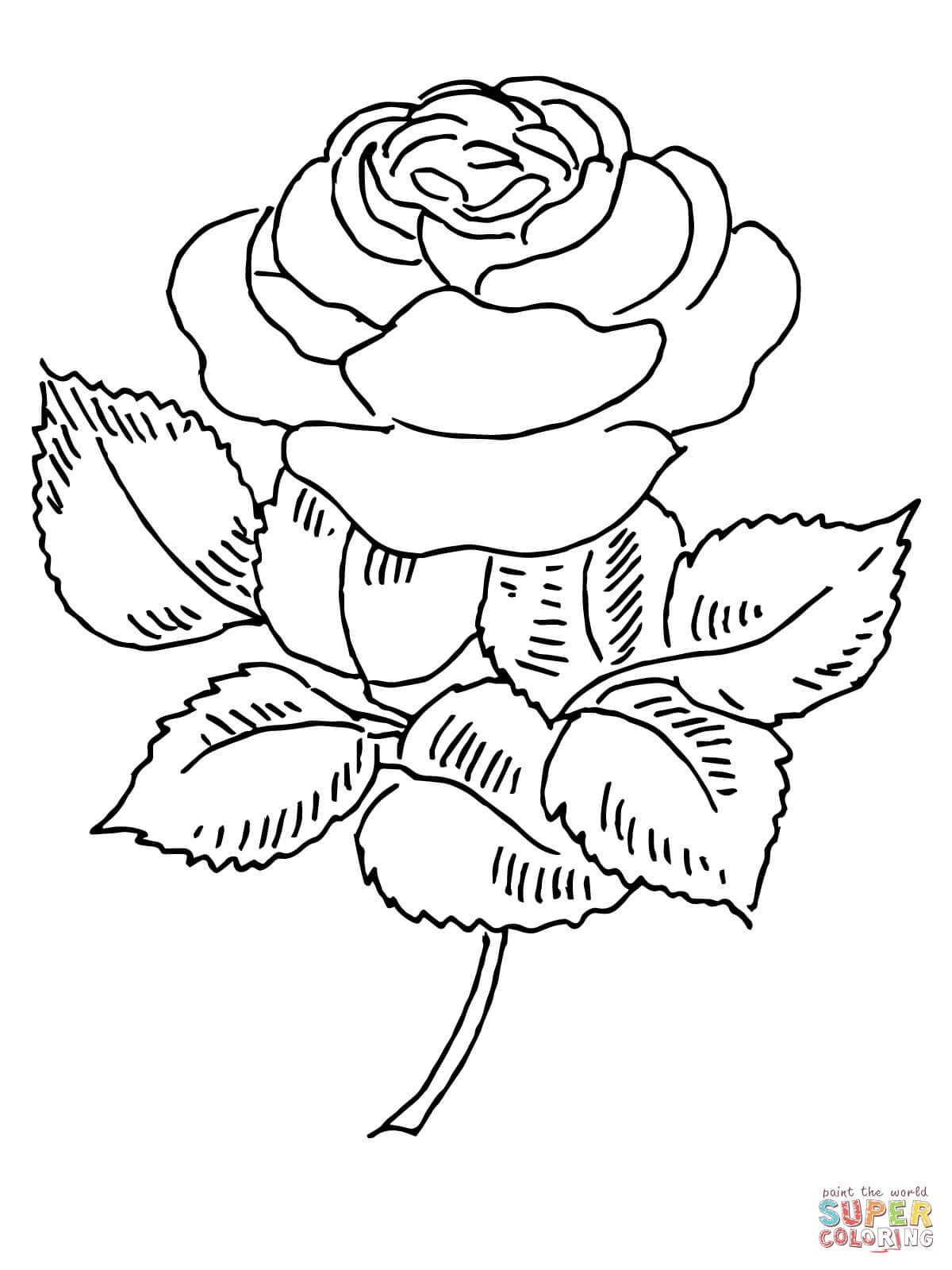 1200x1600 Rose Bud Flower Coloring Pages For Kids Awesome Rose Coloring