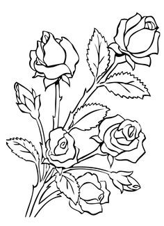 236x325 Roses Coloring Pages Awesome Coloring Pages Of Flowers Printable