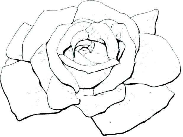 618x464 Coloring Page Of A Rose Coloring Rose Bud Coloring Pages