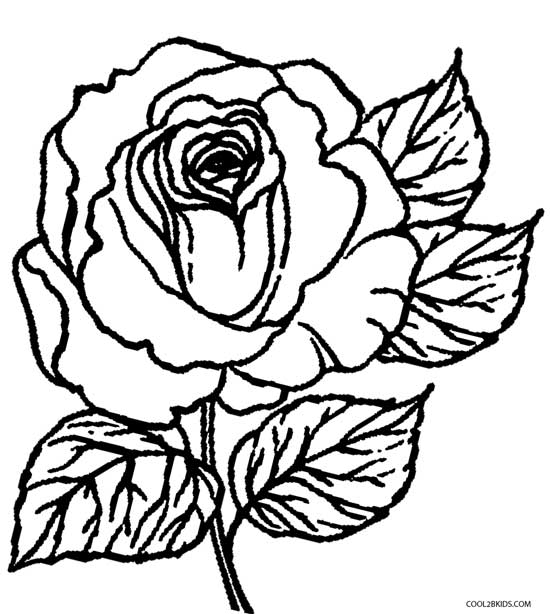 550x614 Coloring Pictures Of Roses