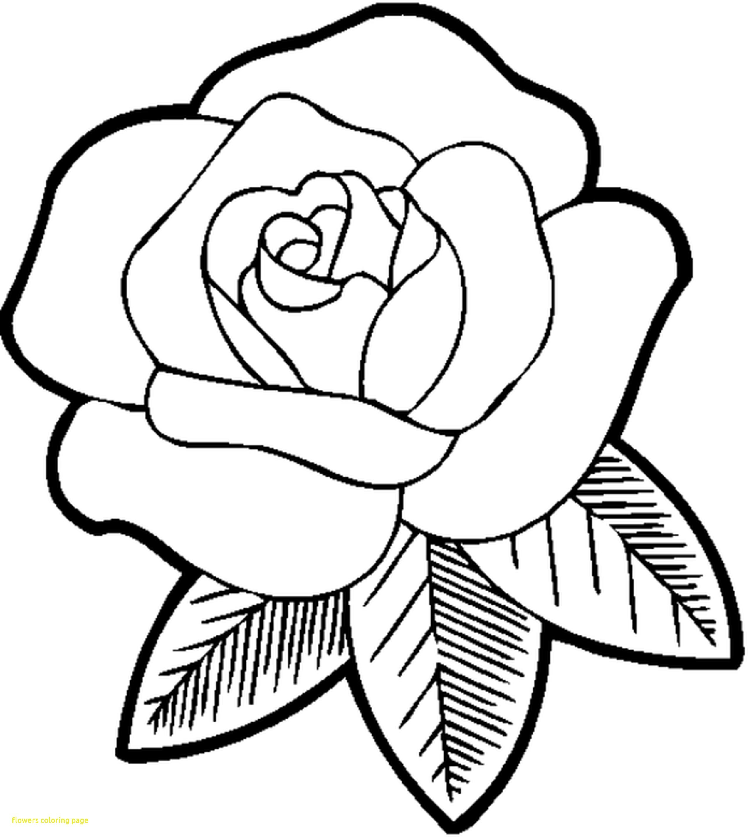 2550x2849 Now Coloring A Rose Tremendous Page Of Pages Roses Beauteous Acpra