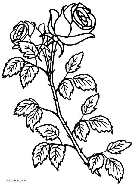 445x614 Plant Coloring Pages Coloring Pages Roses Free Plant Colouring