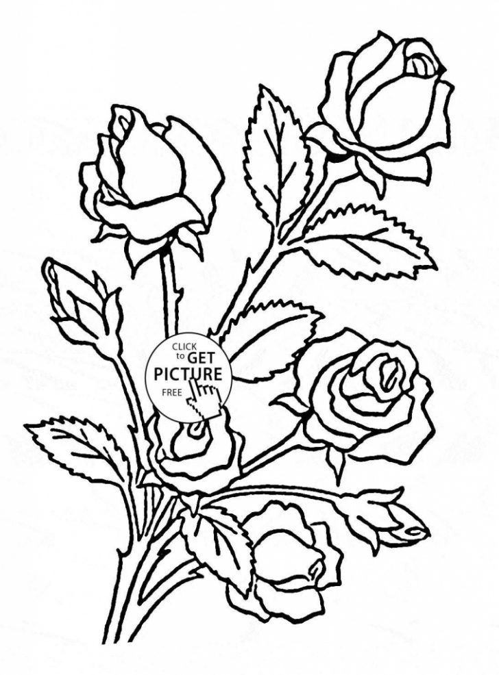 728x986 Flower Archives Coloring Pages Kids
