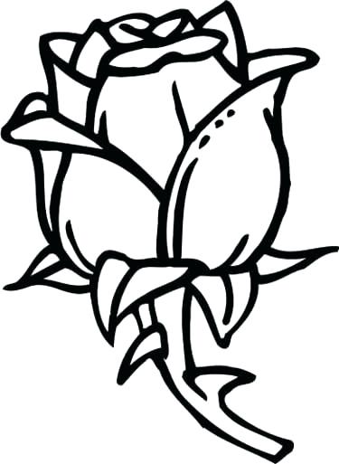 375x513 Coloring Pages Of Roses Rose Coloring Page Rose Coloring Page