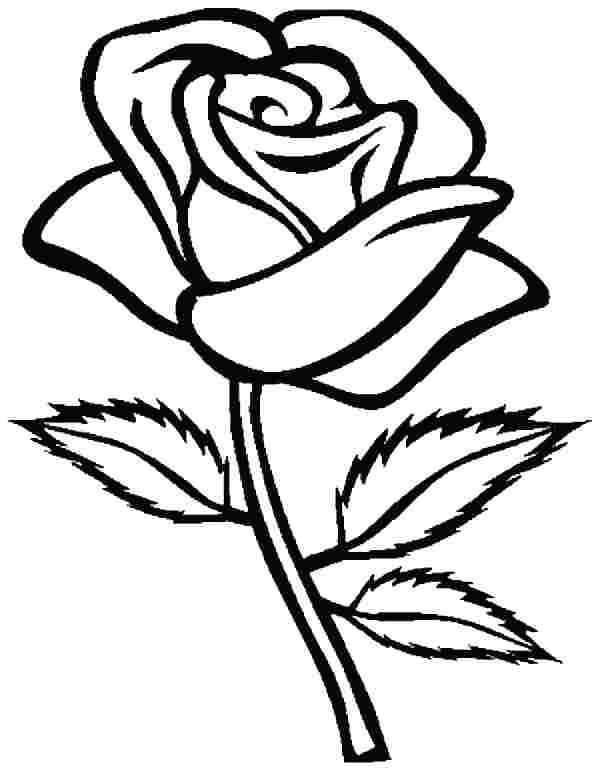 601x774 Free Printable Coloring Pages Of Flowers Photos Rose Coloring