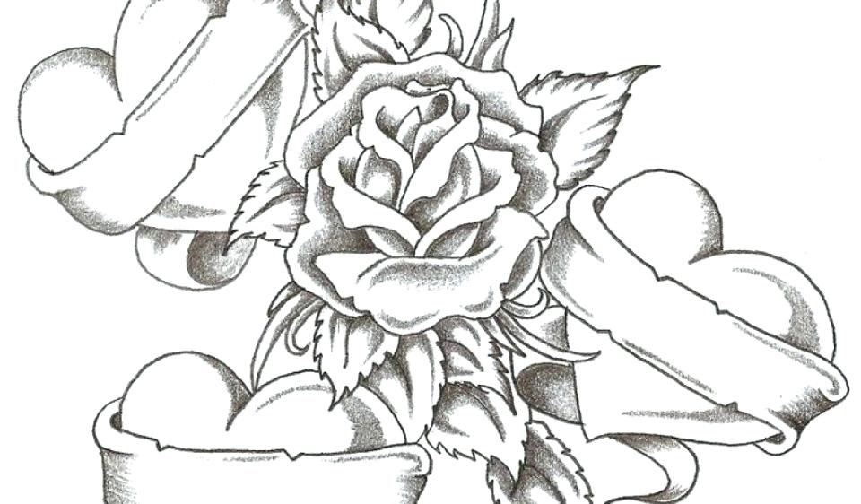 960x562 Rose Coloring Pages Free Roses Coloring Pages For Adults To Print