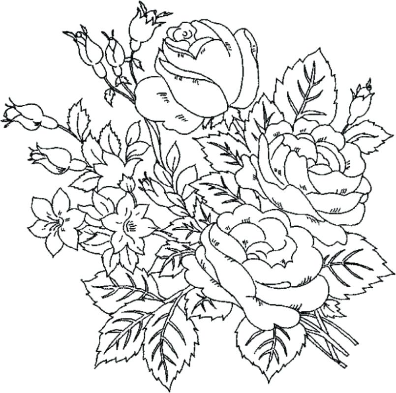 805x799 Rose Coloring Pages Printable Large Size Of Coloring Pages