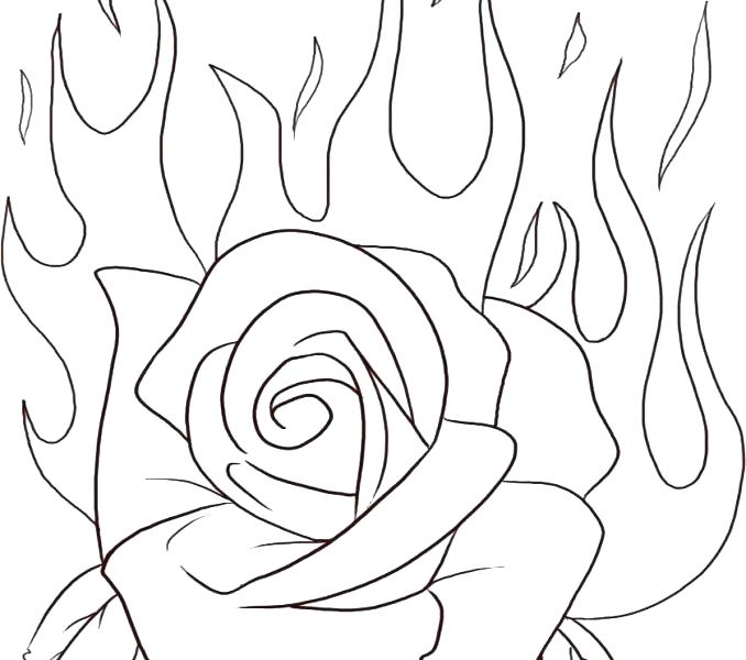 678x600 Printable Rose Coloring Pages Rose Coloring Pages Free Printable