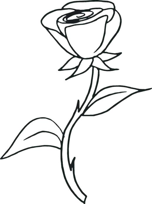 518x693 Rose Coloring Page Coloring Pages Of Rose Rose Flower Coloring