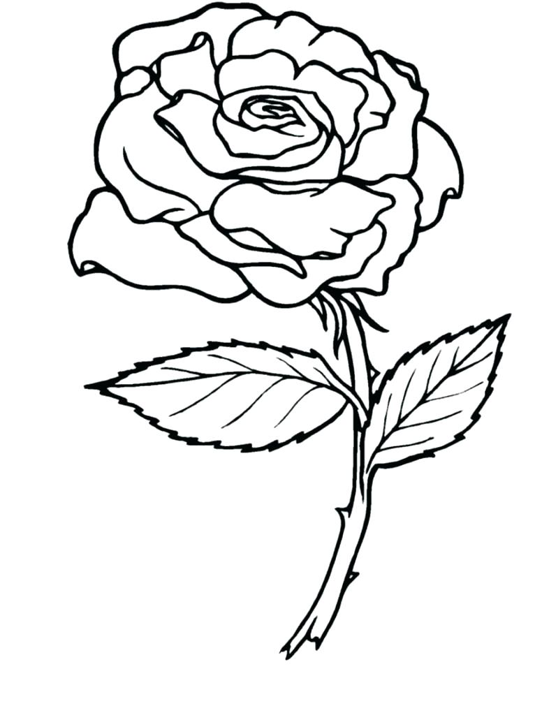 766x1021 Rose Coloring Picture Coloring Pages Roses And Hearts Printable