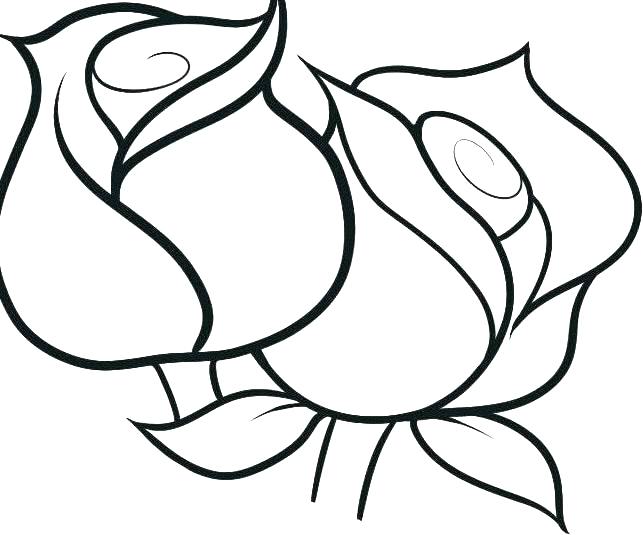 643x535 Printable Rose Coloring Pages
