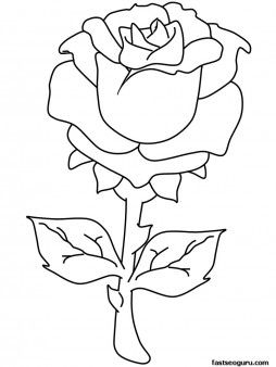 254x338 Roses Coloring Pages Valentines Day Rose Coloring Pages