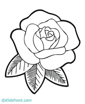 327x400 Best Roses Images On Coloring Books, Print Coloring