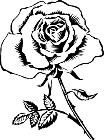 344x460 Rose Coloring Pages Educational Coloring Pages