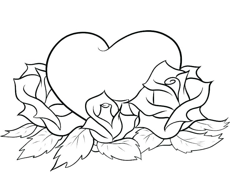 736x620 Rose Coloring Pages Printable Free