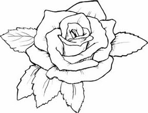 288x221 Projects To Try Free, Rose