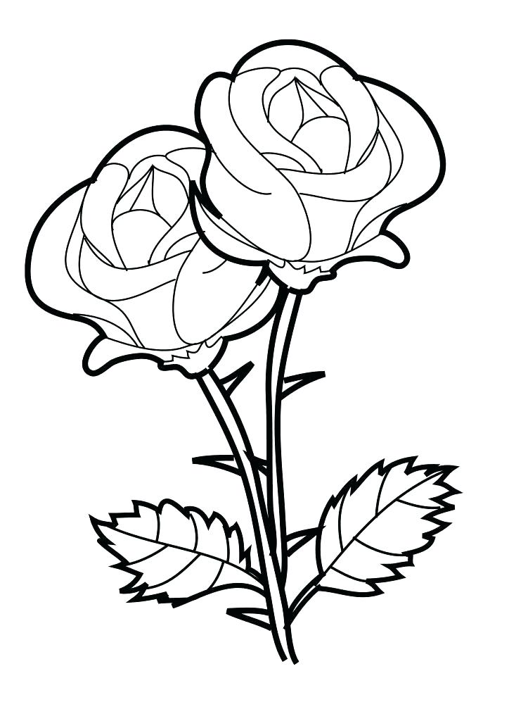 724x1024 Rose Flower Coloring Pages Rose Flower Coloring Pages Free