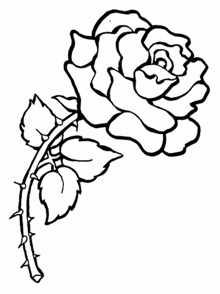 768x1024 Rose Flower Coloring Pages