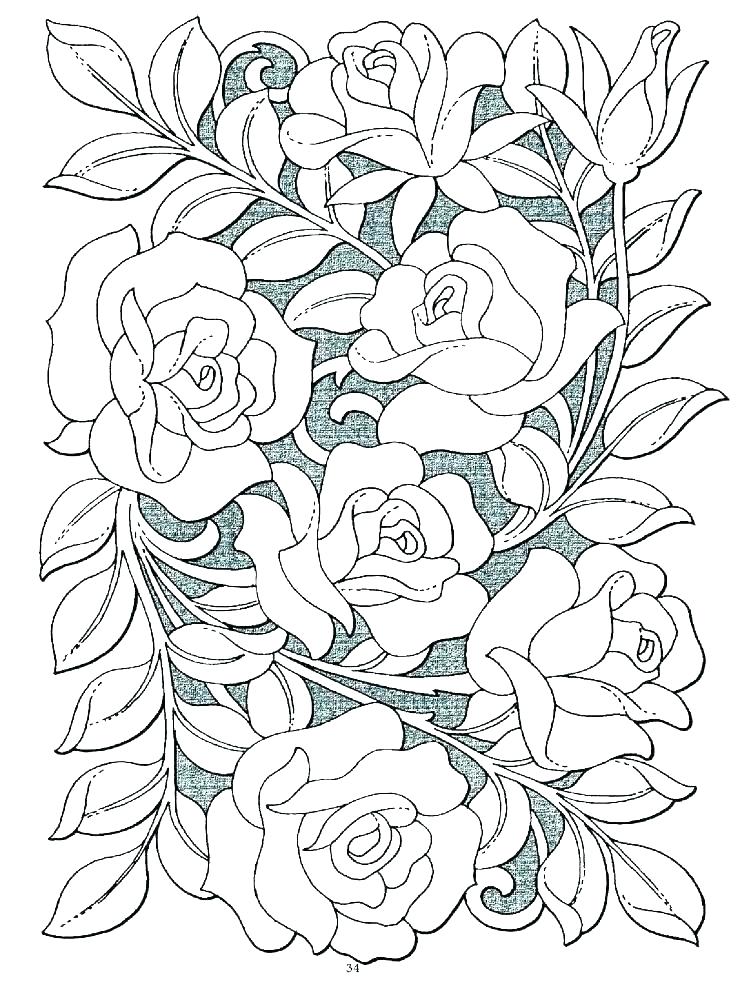 736x991 Rose Flower Coloring Pages