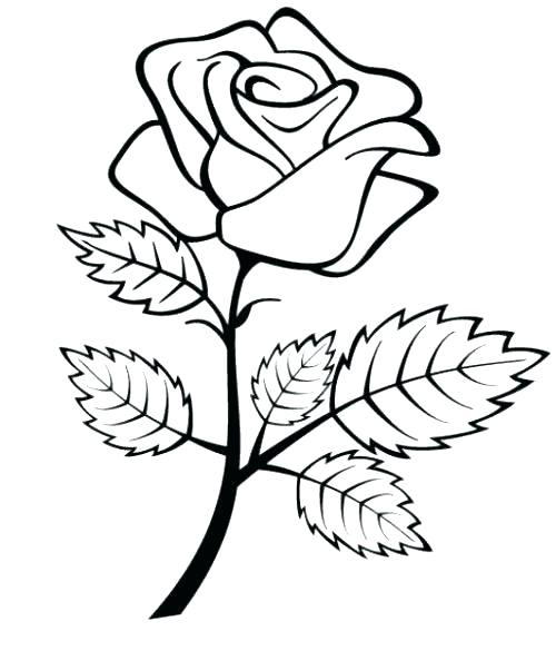 500x594 Coloring Pages Of Roses Coloring Pages Roses And Hearts Coloring