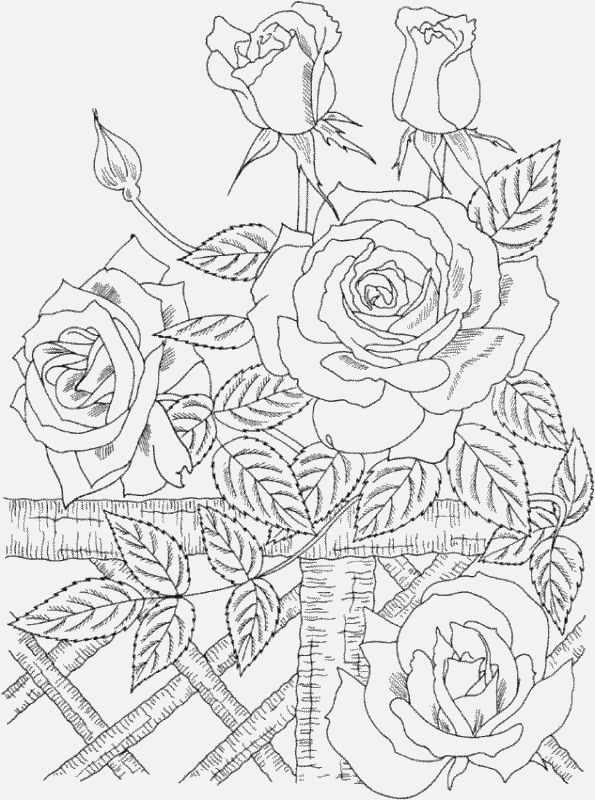 595x800 Coloring Pages Printable Amazing Coloring Pages Online To Print