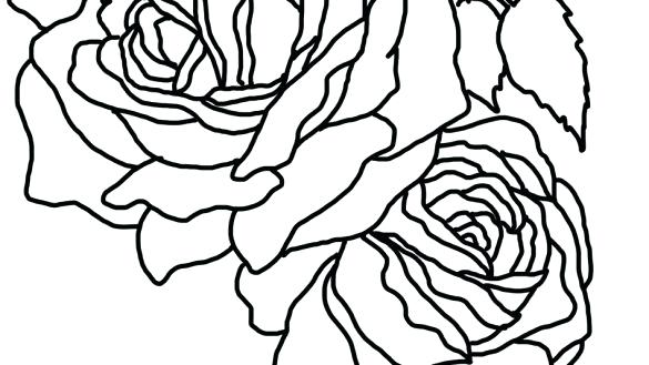 585x329 Coloring Pages Rose Coloring Book Flower Pages Two Roses Page Rose