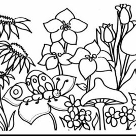 268x268 Rose Garden Coloring Page Kids Drawing And Coloring Pages