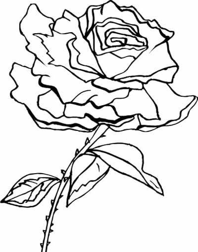 400x508 Coloring Blog For Kids Rose Flower Coloring Page Pictures