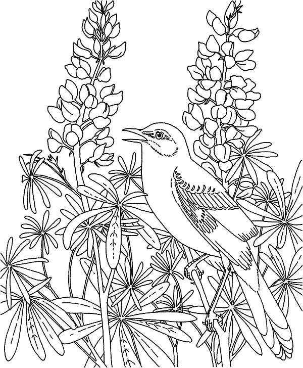 600x728 Coloring Pages Flower Garden