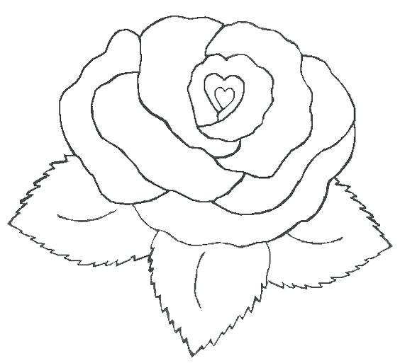 564x513 Roses And Hearts Coloring Pages Beautiful Rose Heart Valentine