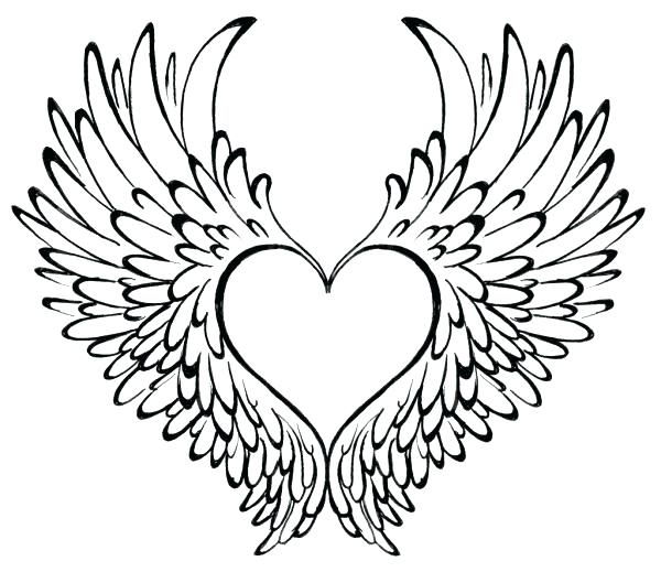 600x519 Coloring Page Heart Related Post Coloring Page Human Heart