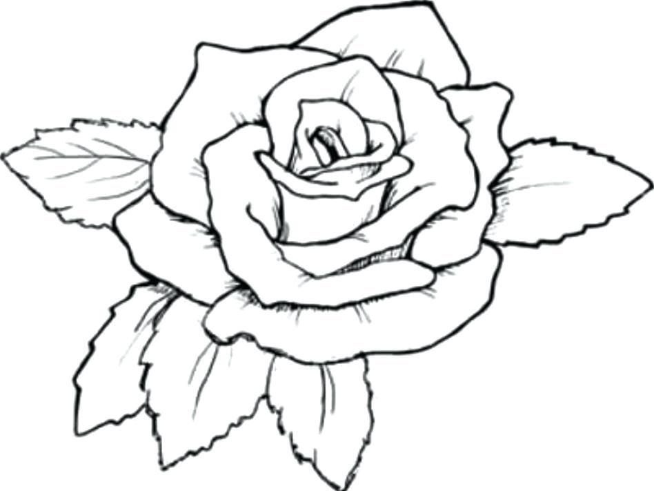 Rose Mandala Coloring Pages at GetDrawings | Free download