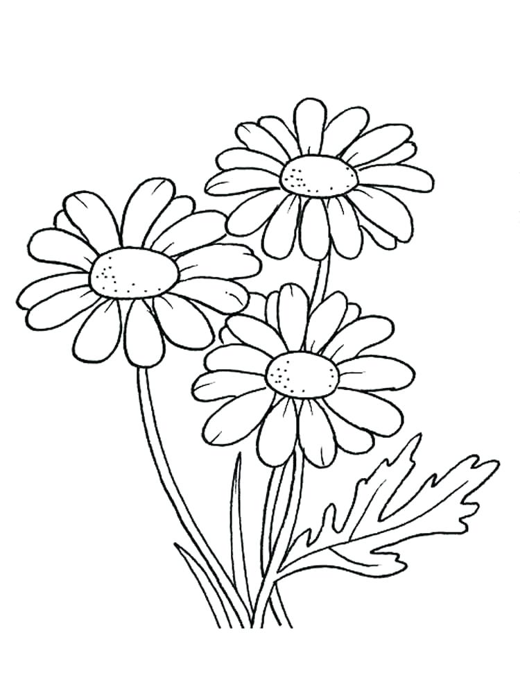 750x1000 Daisy Coloring Pages Princess Daisy Coloring Pages Excellent