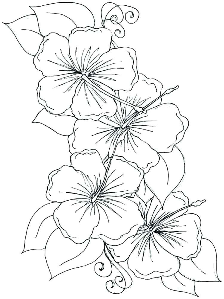 750x1000 Shape Templates Archives Page Of Printable Flower Petal